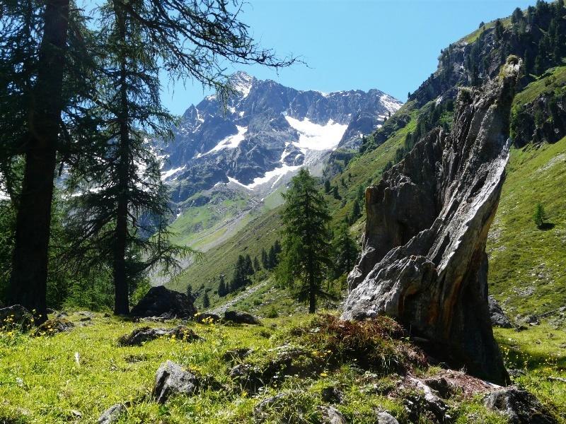 Pension Schoepf Арцл им Пицтал Екстериор снимка